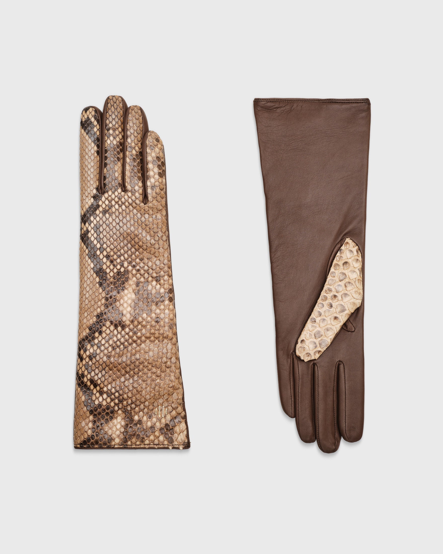 python glove load at paul brower blog Images High... Python Glove Load at Paul Brower blog